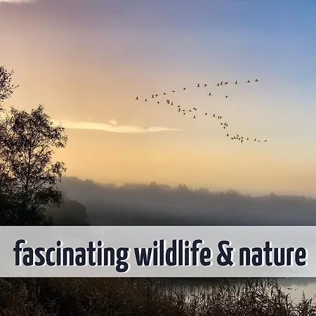 Wiesengefluester Dachgeschosswohnung Mit Balkon Und Mueritznaehe 200 M Röbel