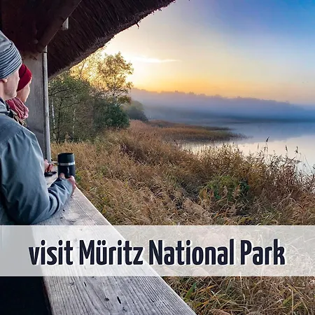 شقة Wiesengefluester Dachgeschosswohnung Mit Balkon Und Mueritznaehe 200 M