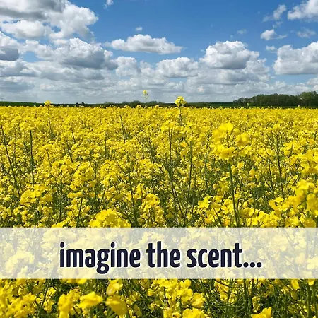 Wiesengefluester Dachgeschosswohnung Mit Balkon Und Mueritznaehe 200 M شقة Röbel