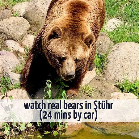 Wiesengefluester Dachgeschosswohnung Mit Balkon Und Mueritznaehe 200 M شقة