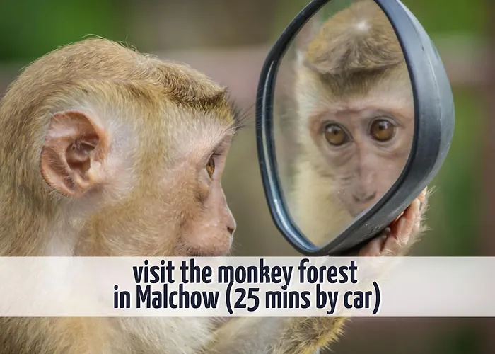 Wiesengefluester Dachgeschosswohnung Mit Balkon Und Mueritznaehe 200 M דירה Röbel