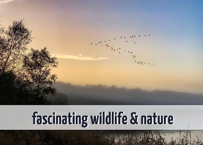 Wiesengefluester Dachgeschosswohnung Mit Balkon Und Mueritznaehe 200 M Röbel